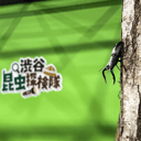 イベント画像