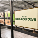イベント画像