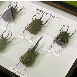 https://stticketmeimageprd.blob.core.windows.net/ticketme-image/ticket-cover-aaad668c-3837-4e7a-b1f6-821c05a5a581.png