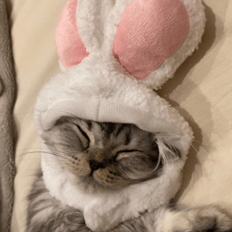 https://stticketmeimageprd.blob.core.windows.net/ticketme-image/ticket-icon-6386a26b-23d0-4330-885c-25833e6aa4e3.png