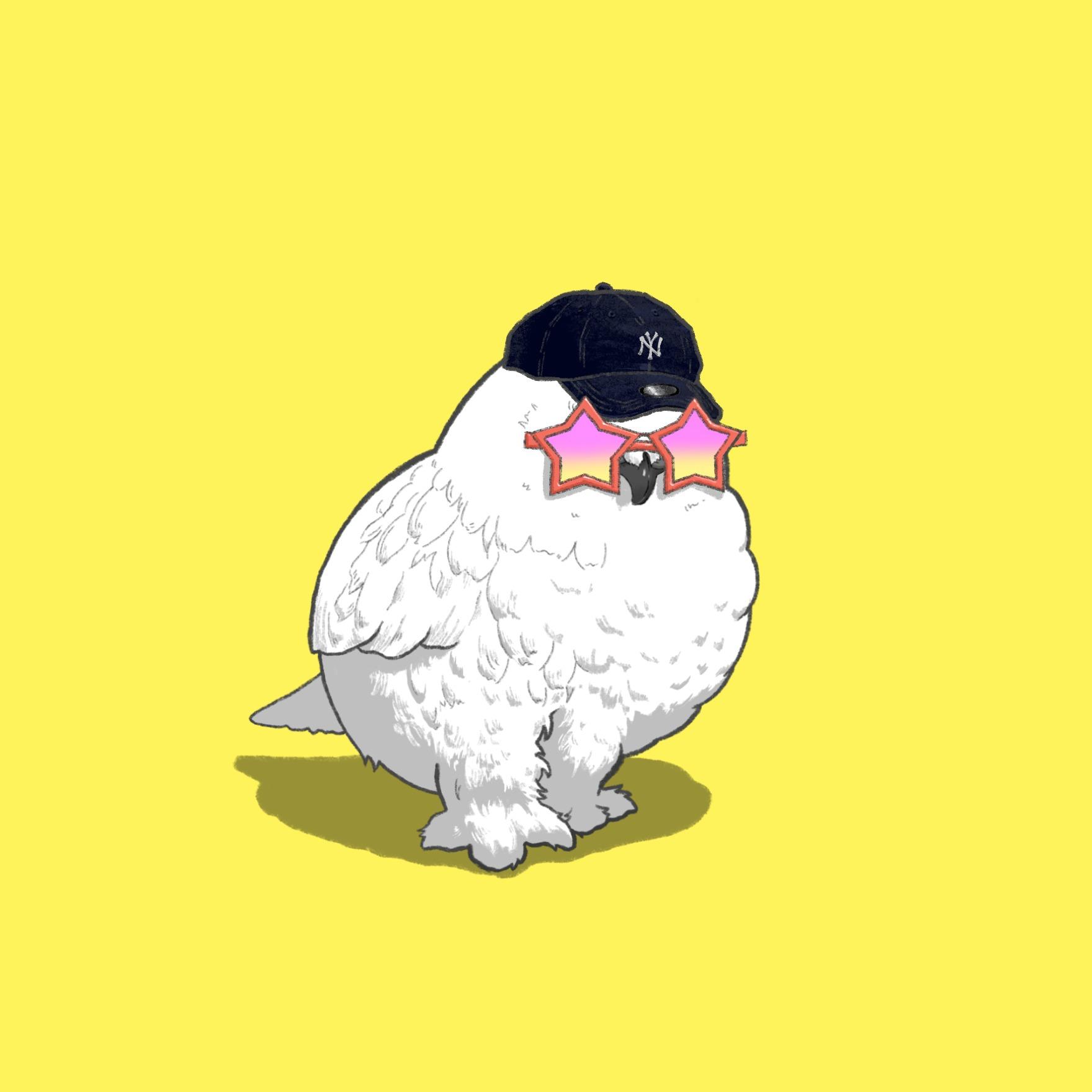 cover_image