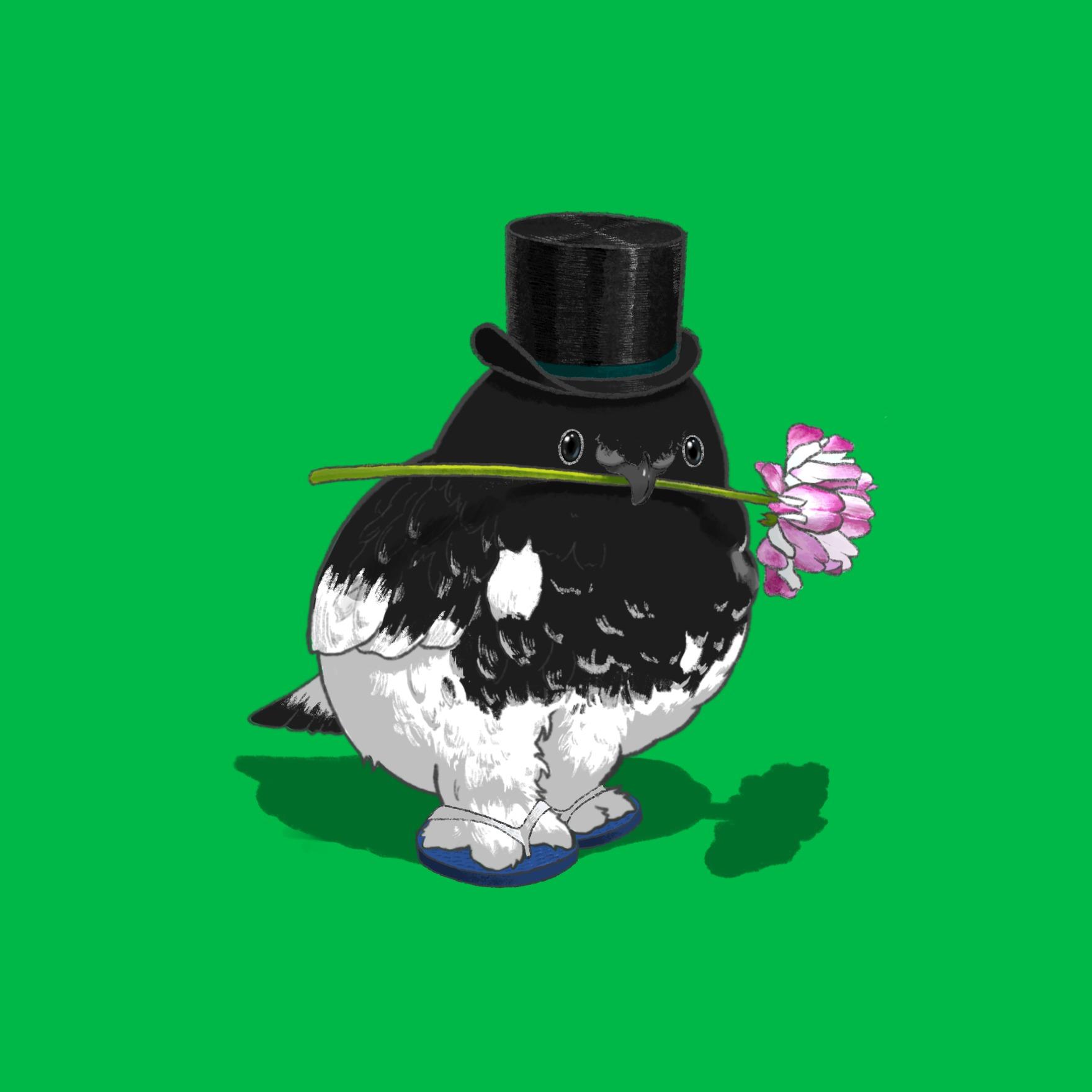 cover_image