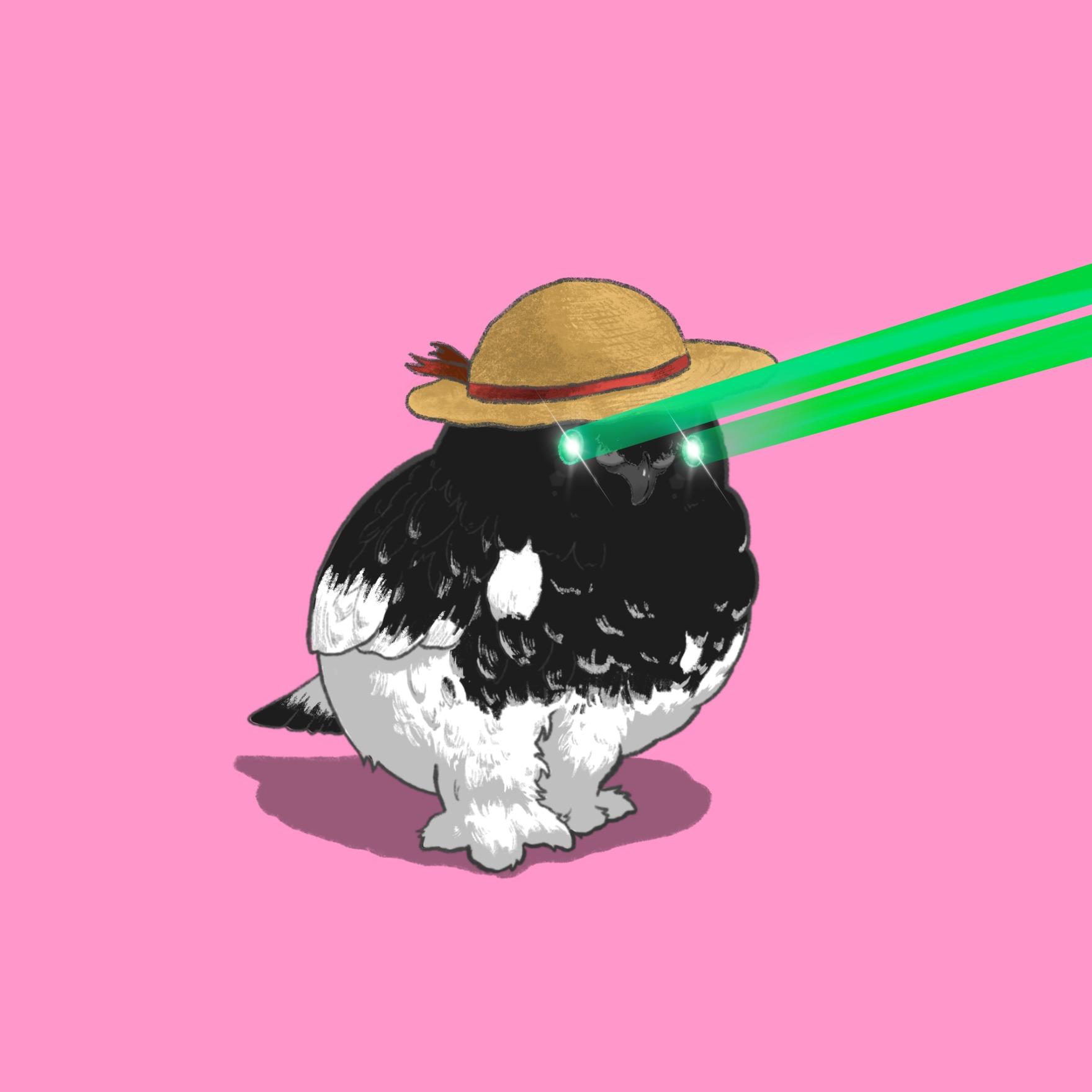 cover_image