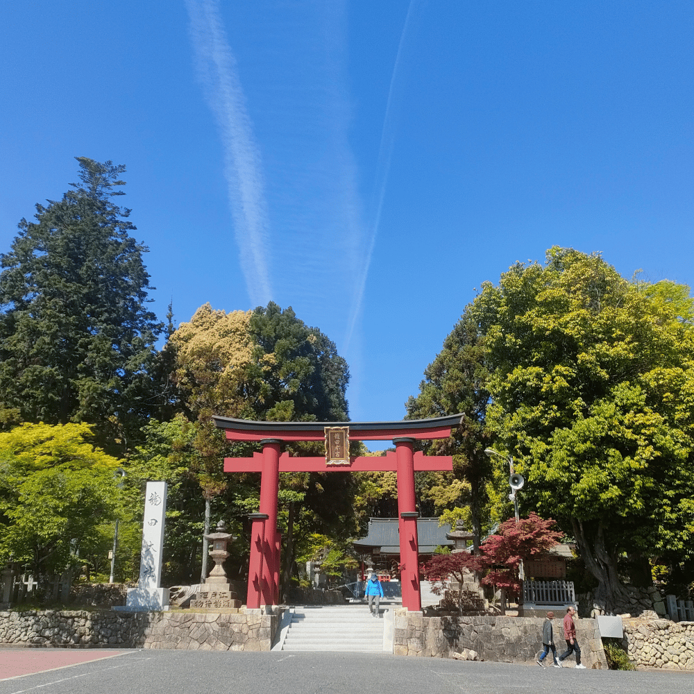 cover_image