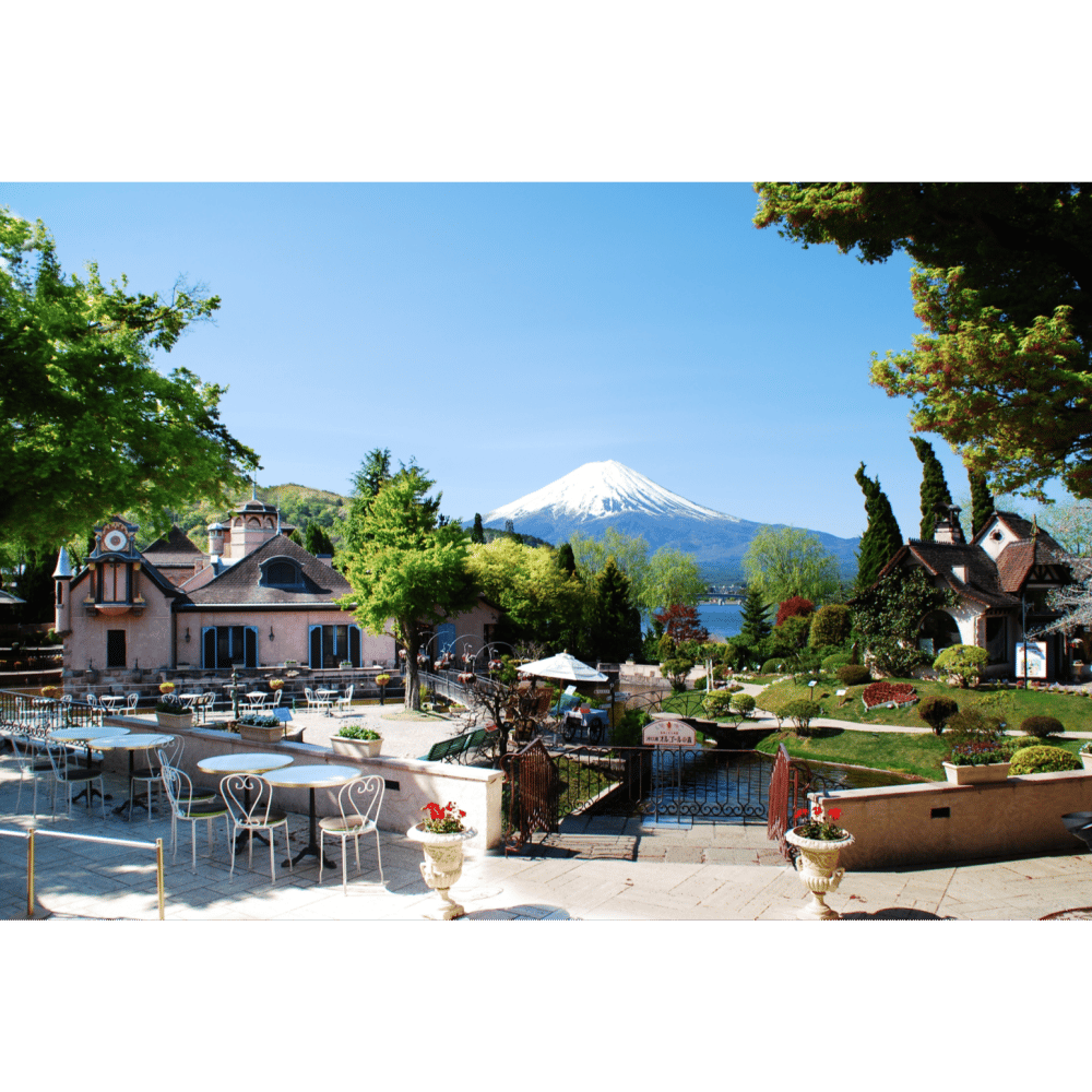 cover_image