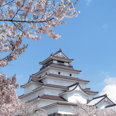 cover_image
