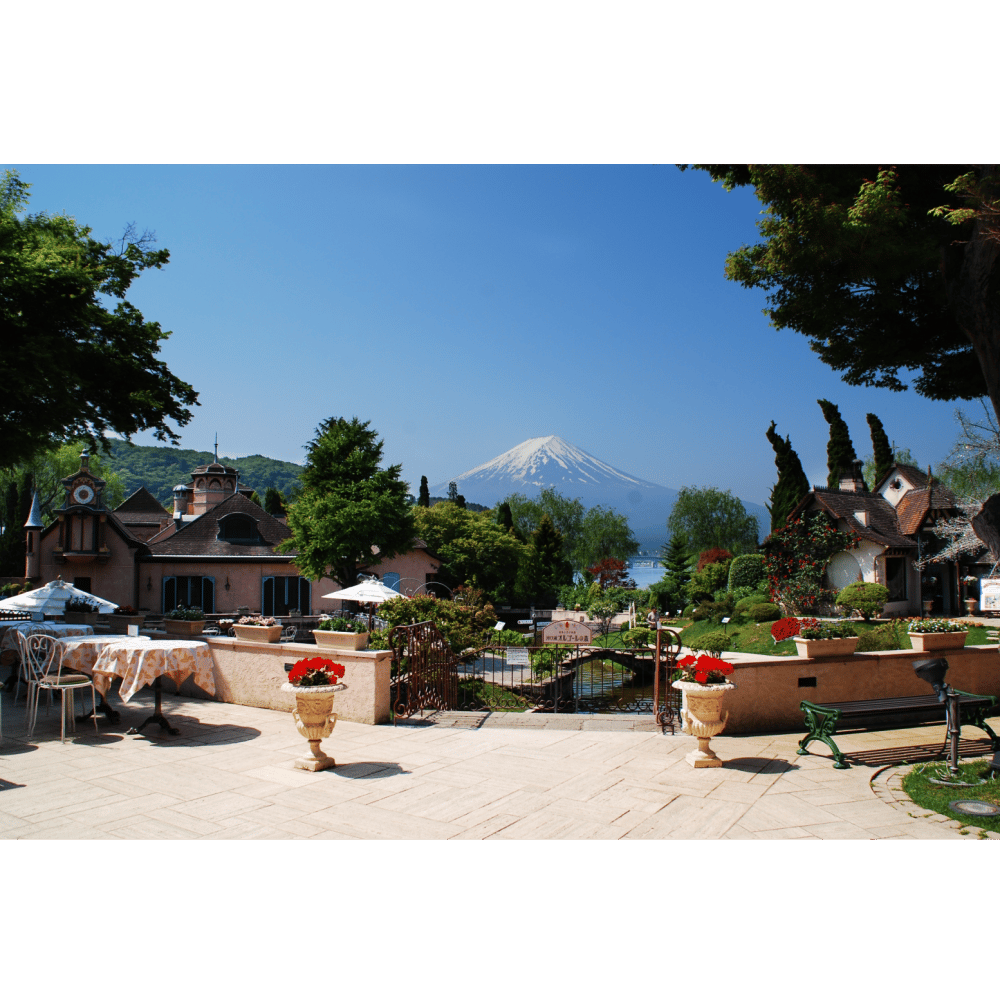 cover_image
