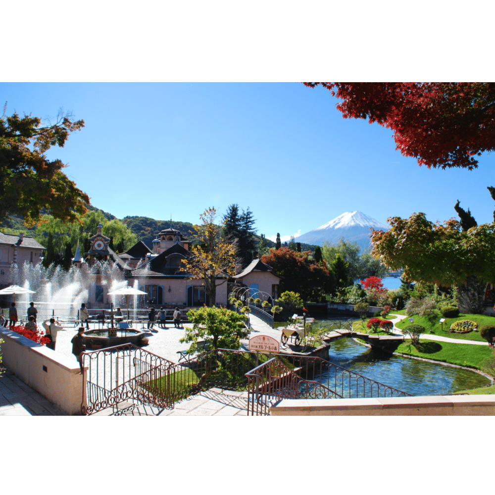 cover_image