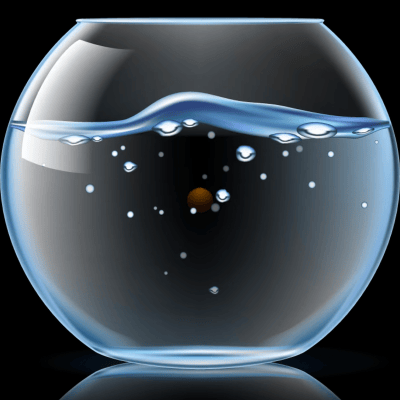 cover_image