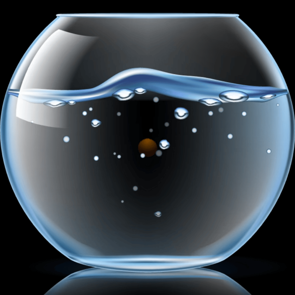 cover_image