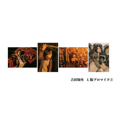 背景画像