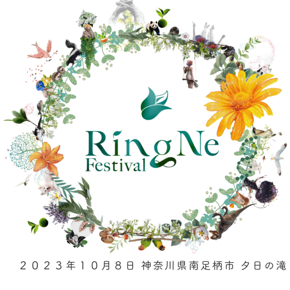cover_image