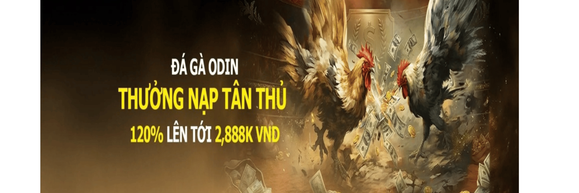 profile header
