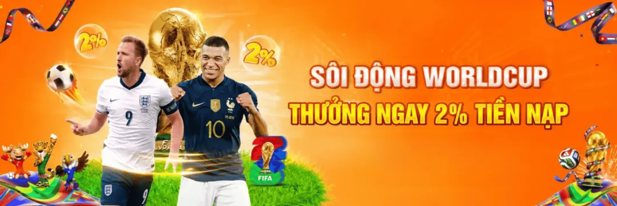profile header