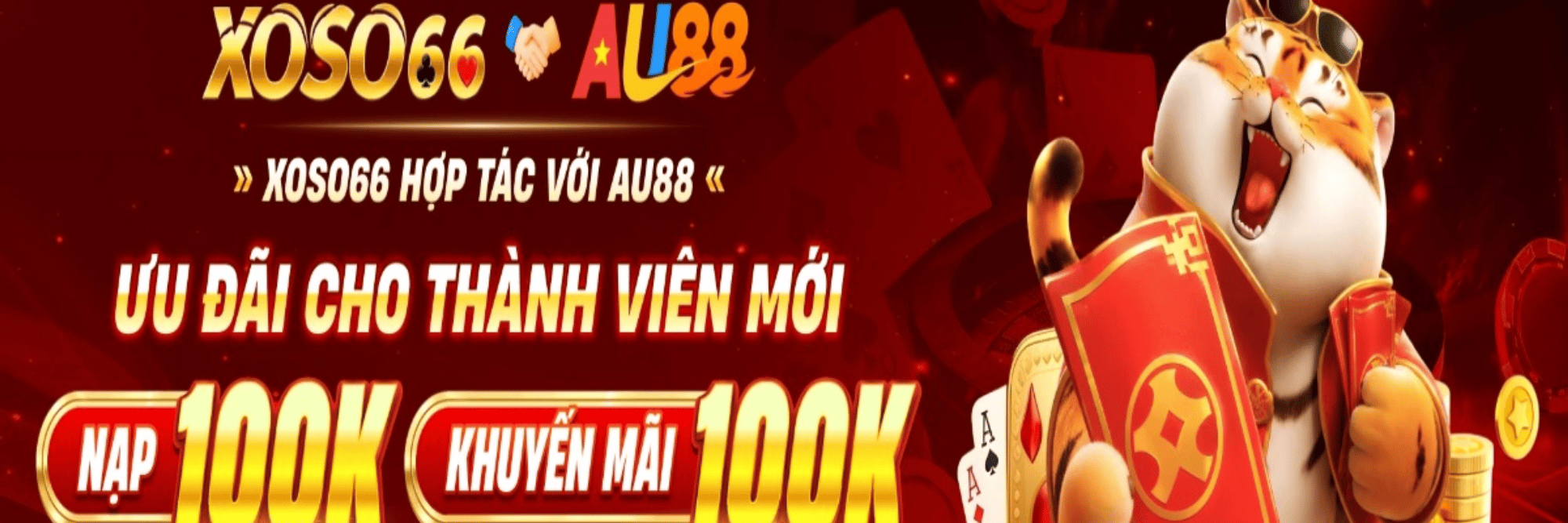profile header