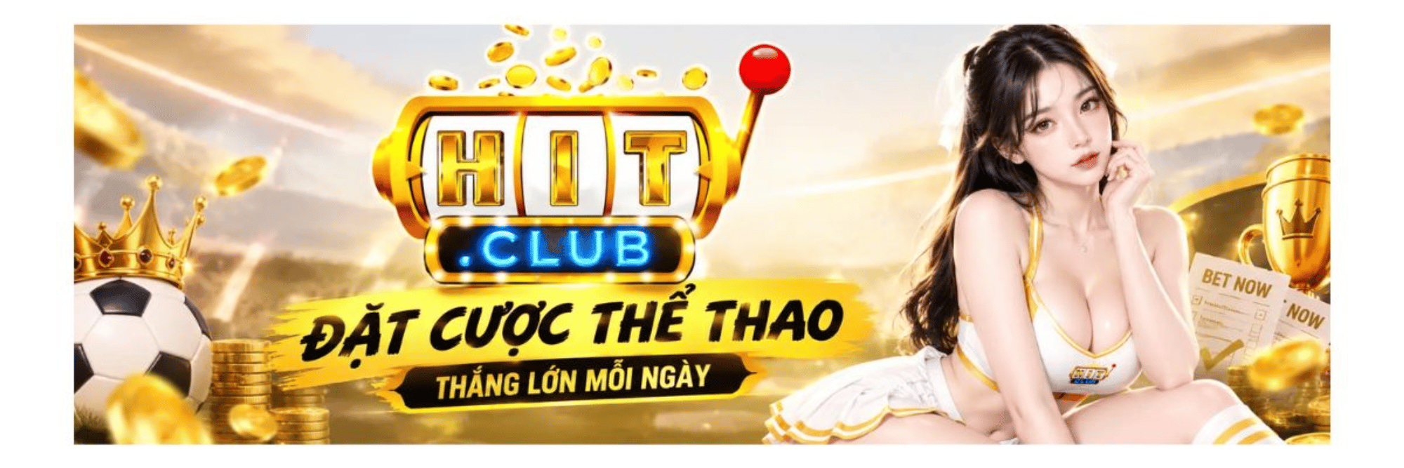 profile header