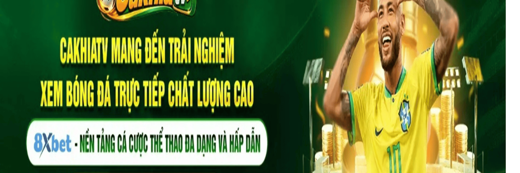 profile header