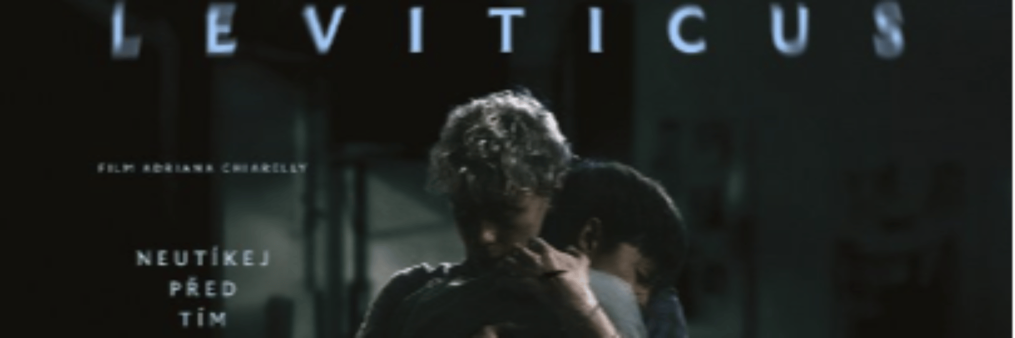 profile header