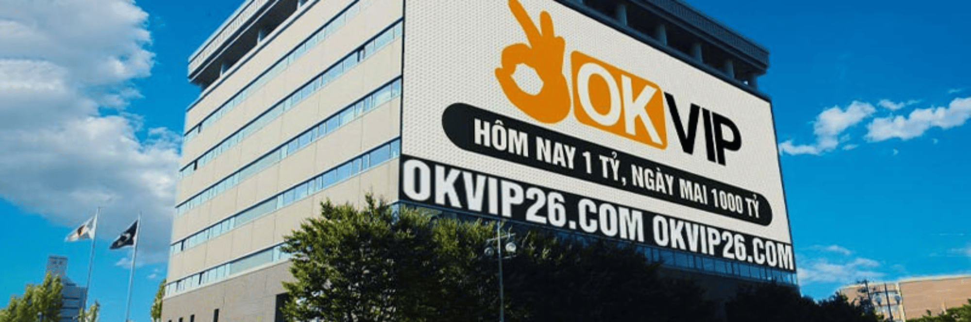 profile header
