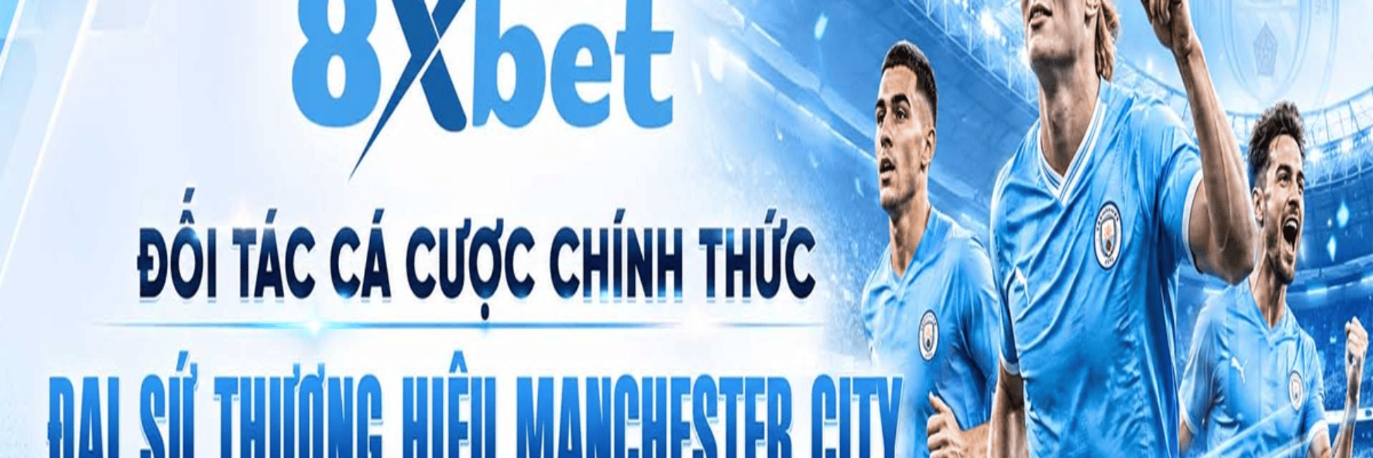 profile header