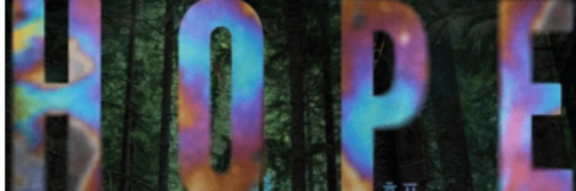 profile header