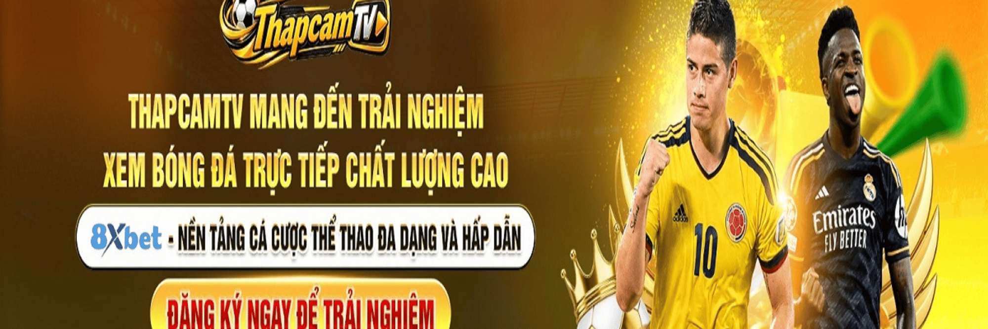profile header