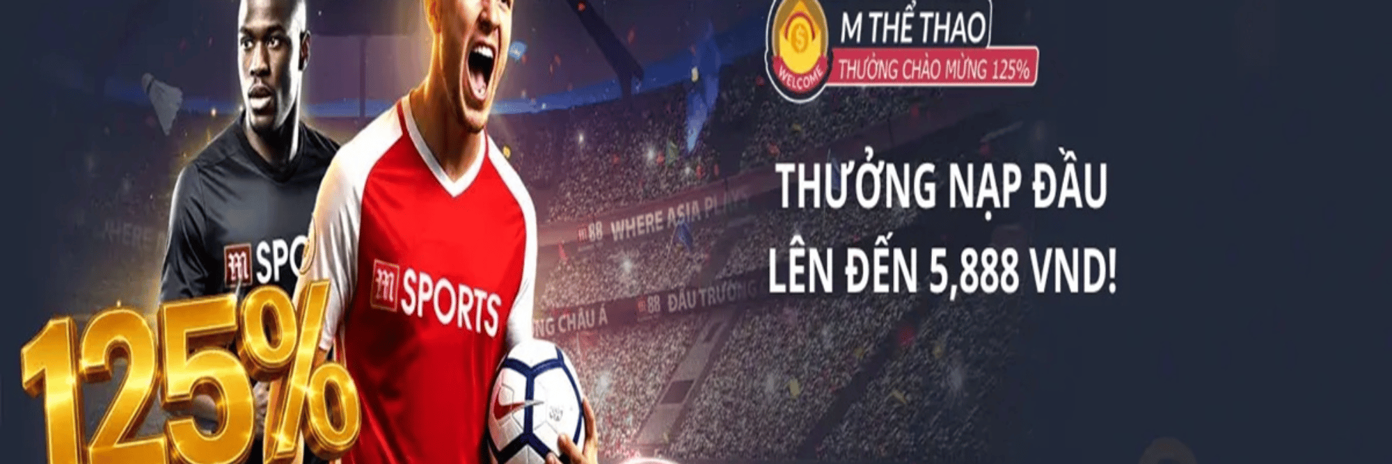 profile header