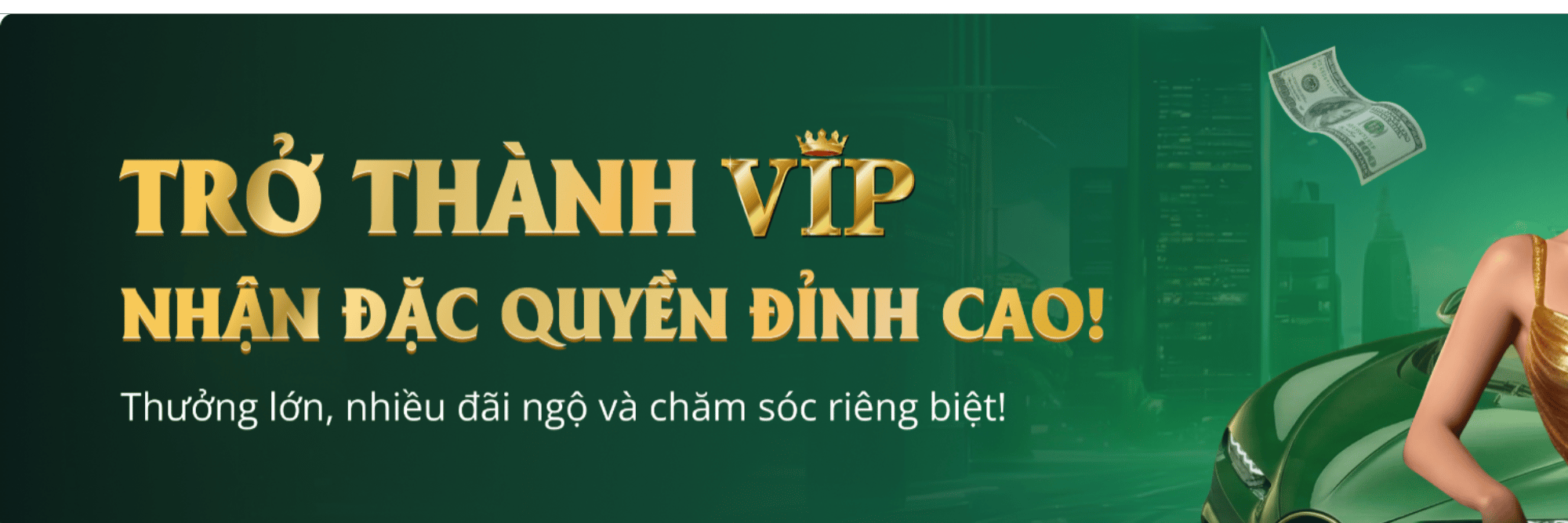 profile header