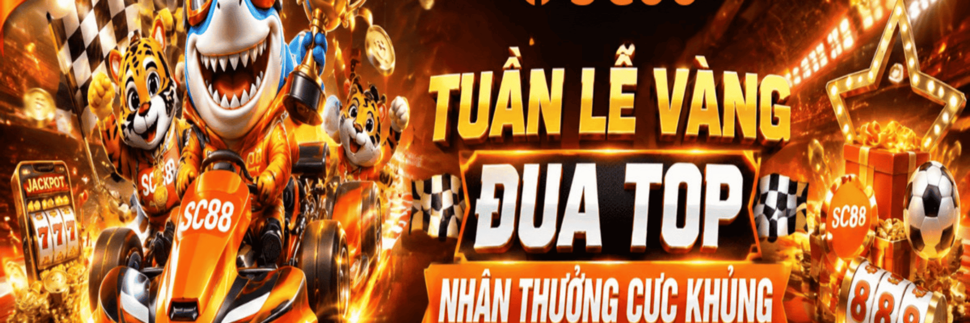 profile header