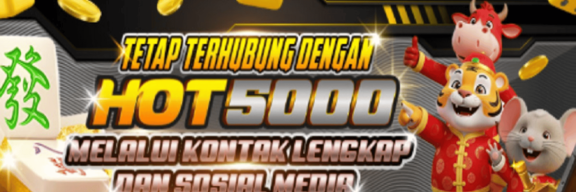 profile header