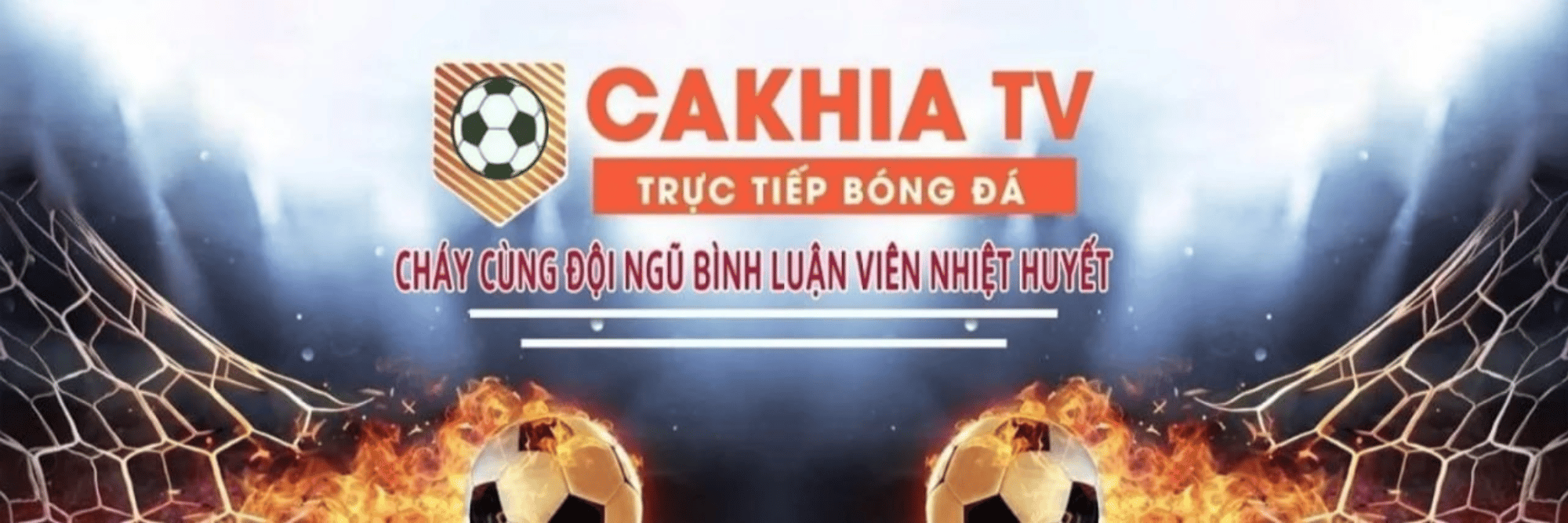 profile header