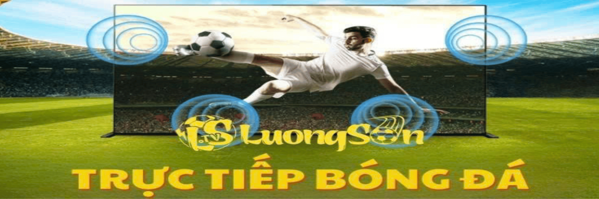 profile header