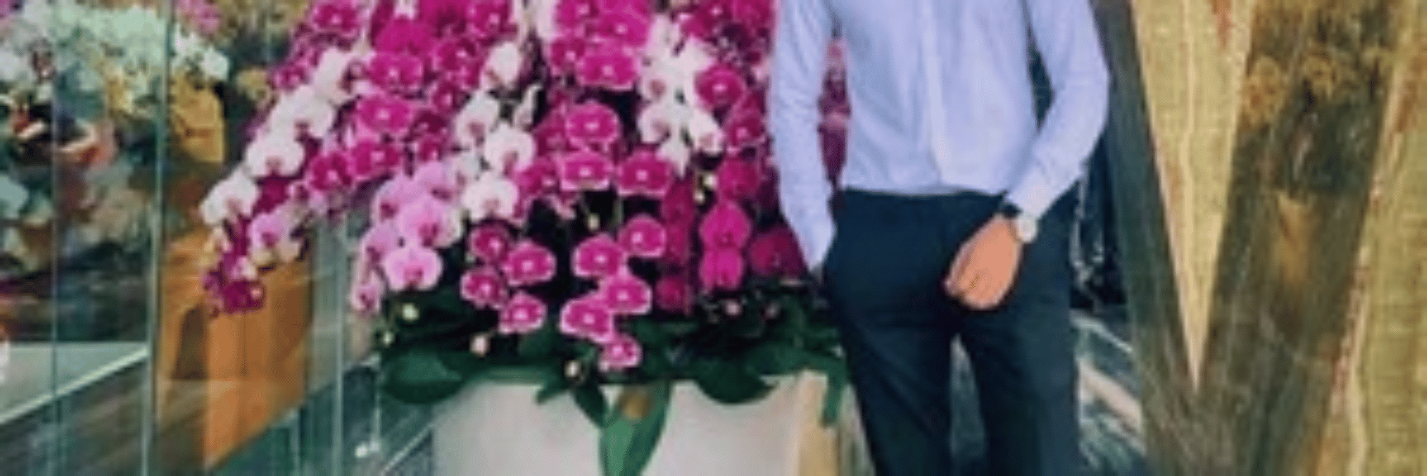 profile header