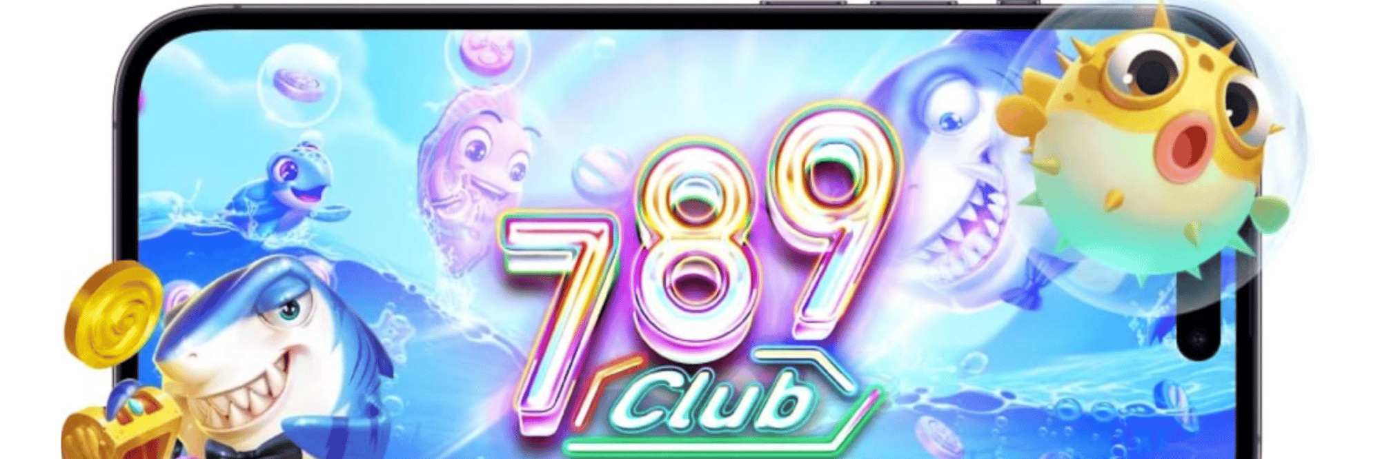 profile header