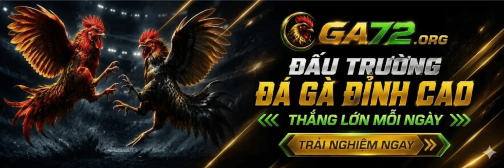 profile header