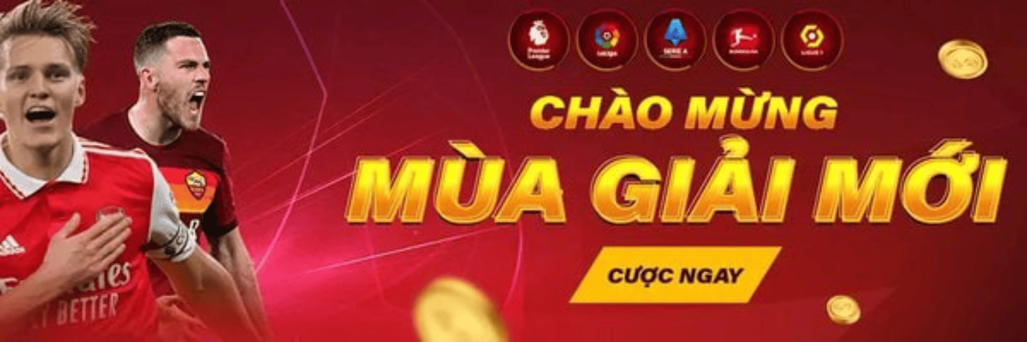 profile header