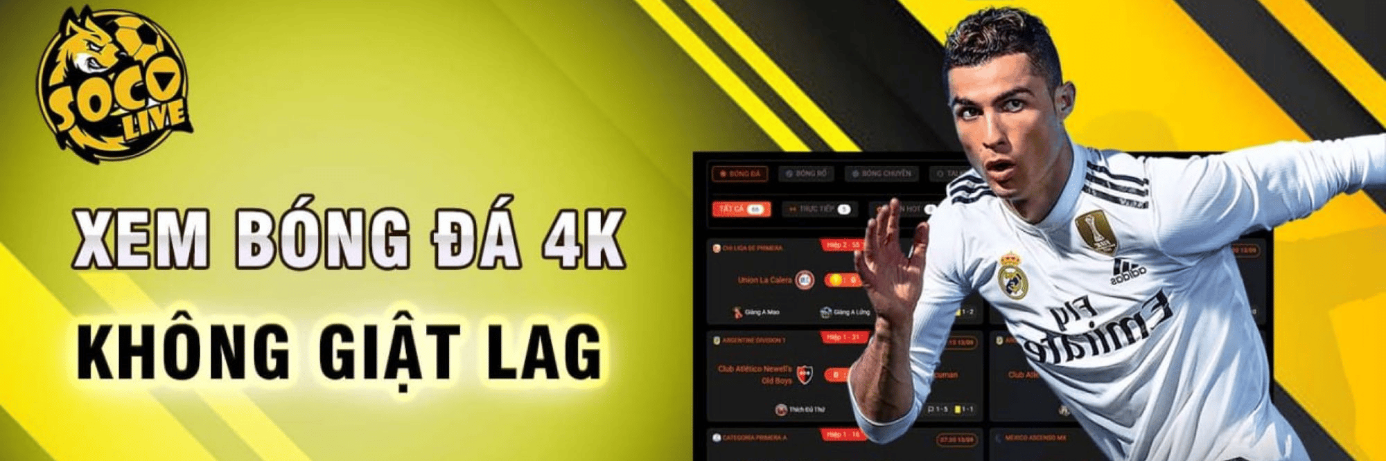 profile header