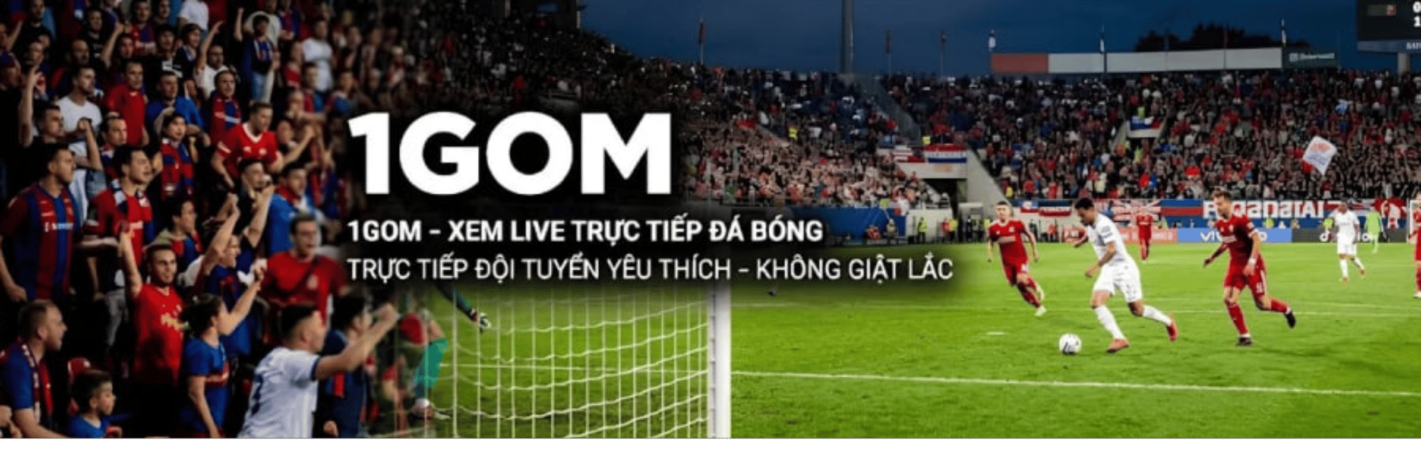 profile header