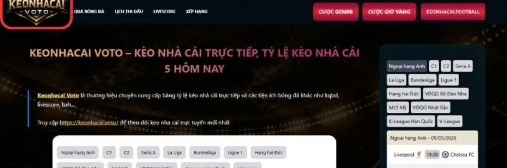 profile header