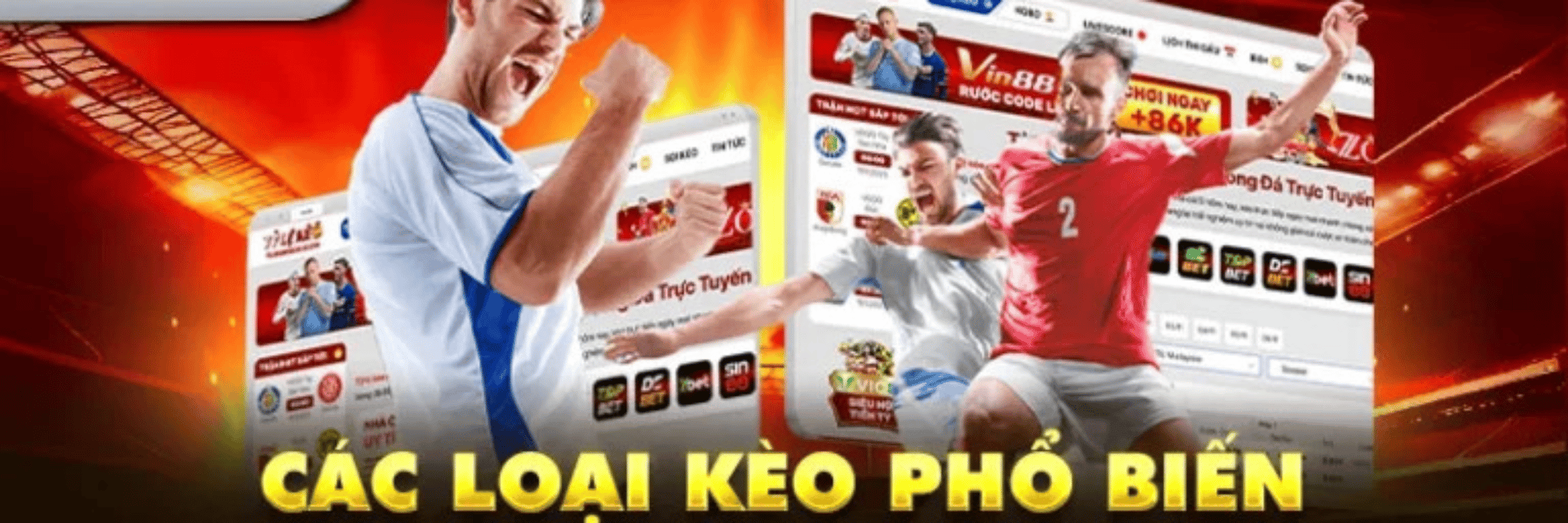 profile header