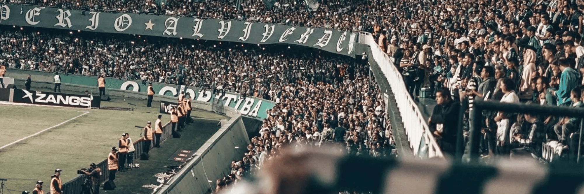 profile header