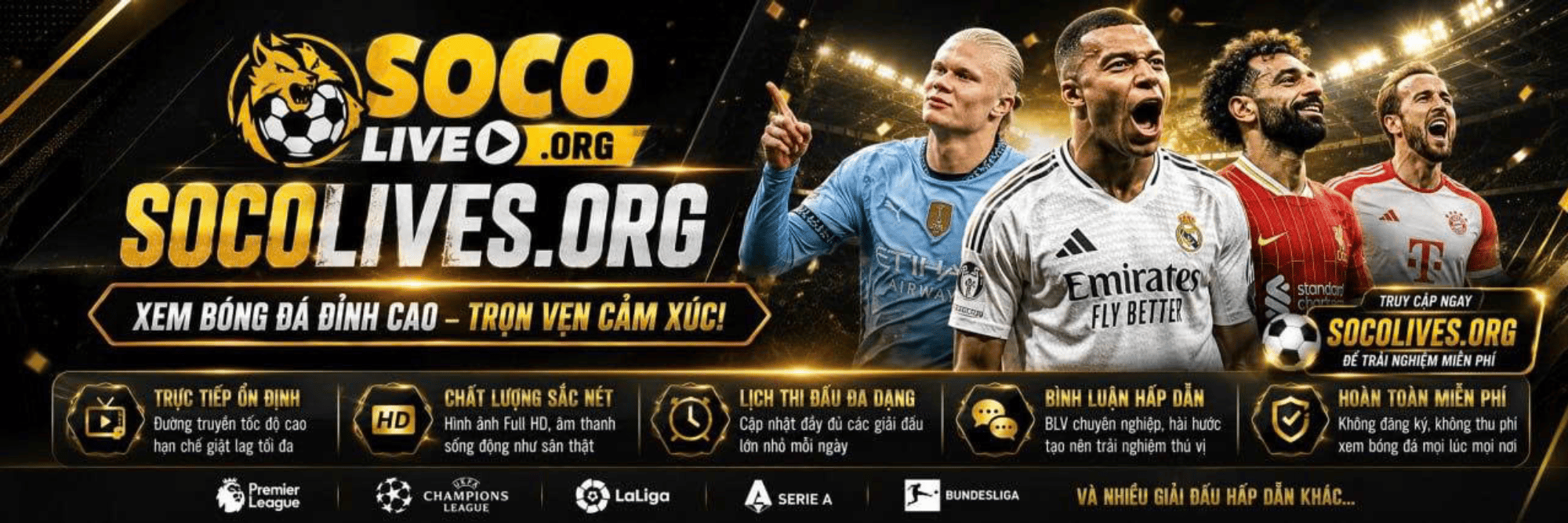 profile header