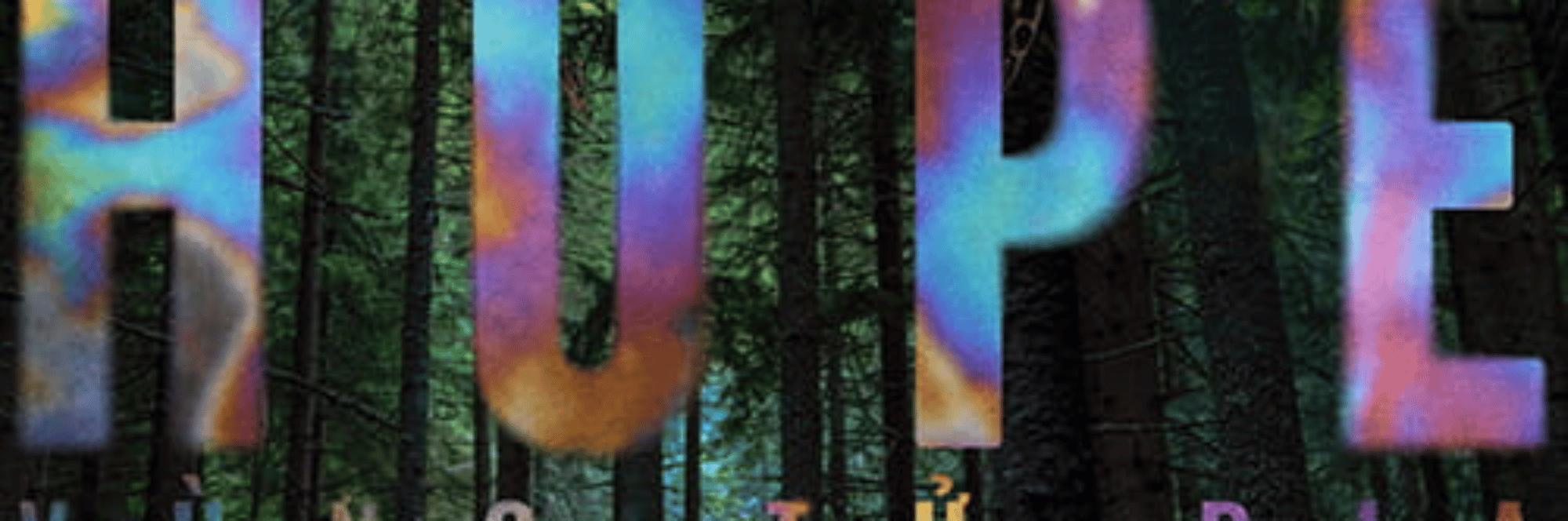 profile header