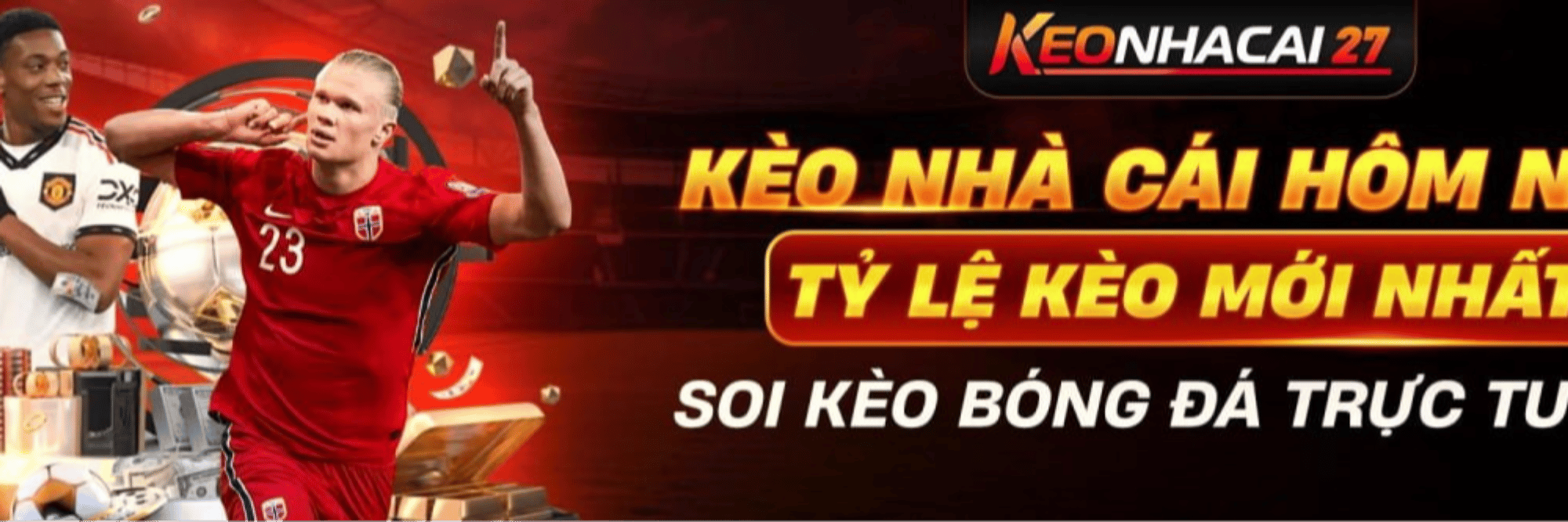 profile header