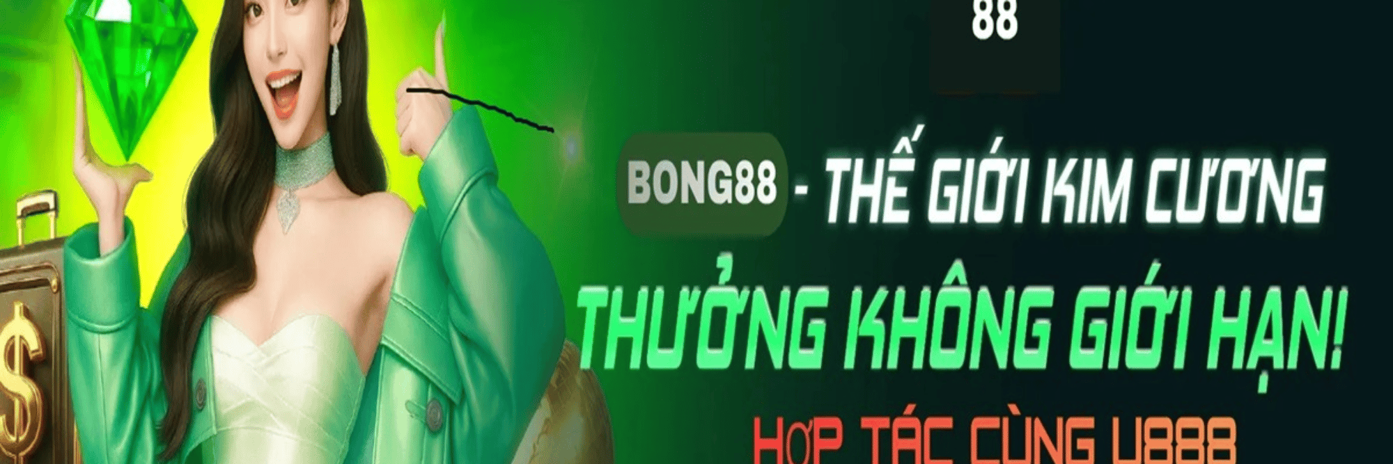 profile header