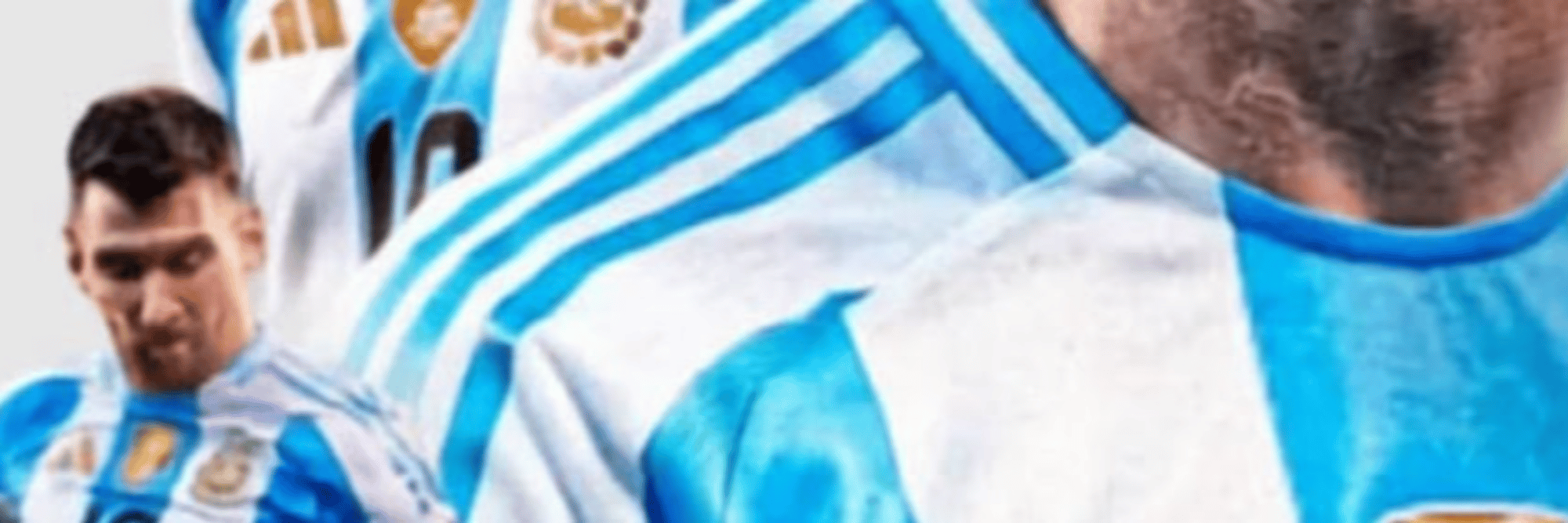 profile header