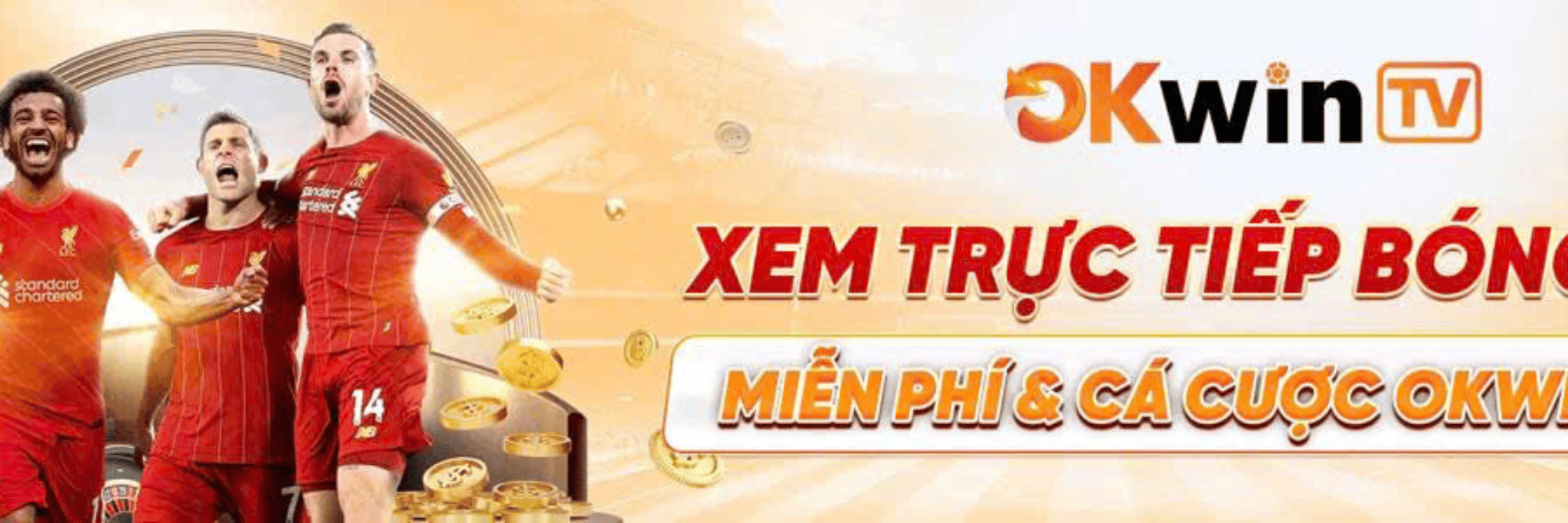 profile header