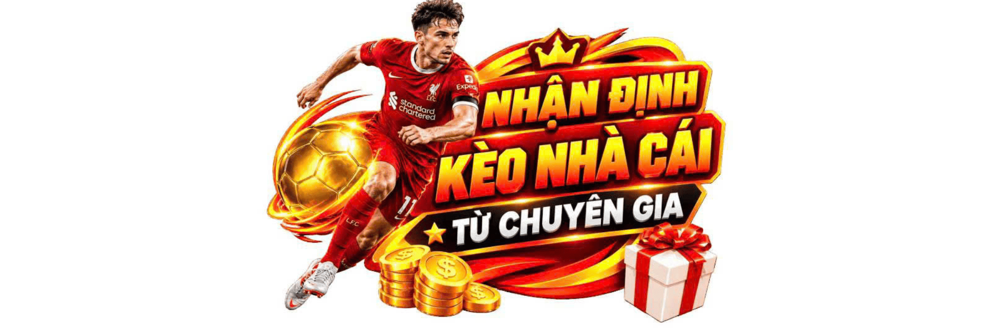 profile header