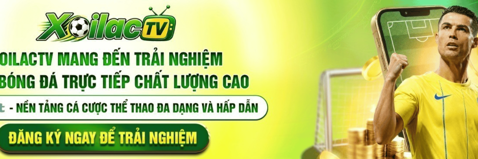profile header