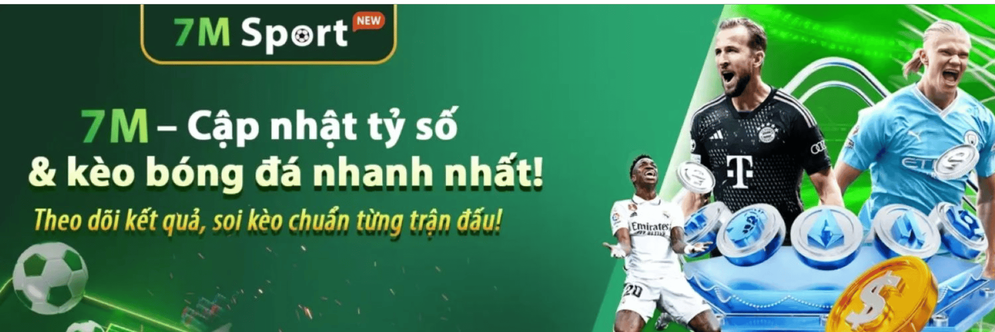 profile header